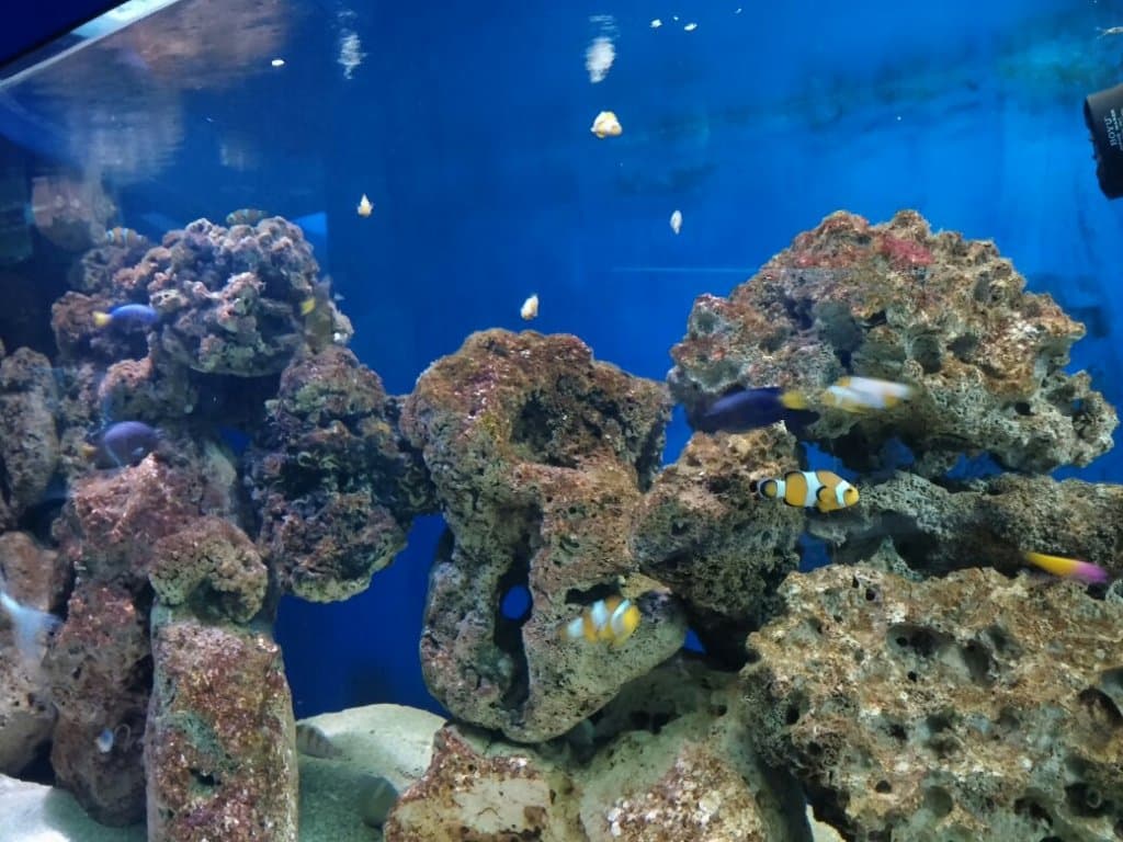 Aquarium Poreč