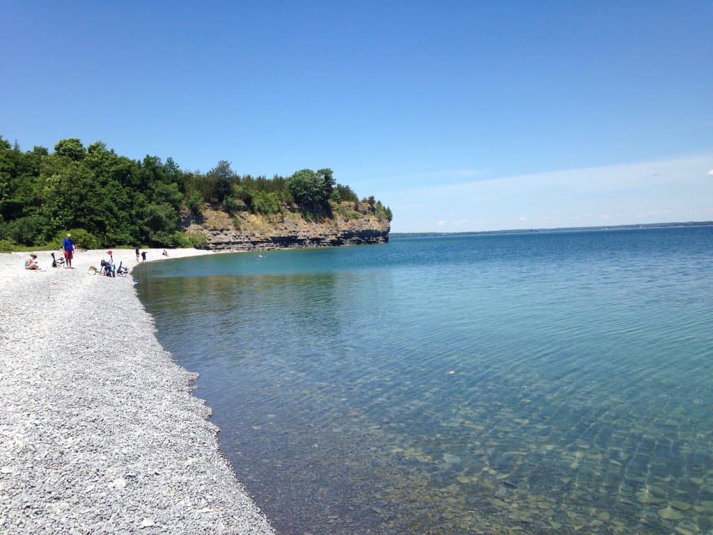 Little Bluff Conservation Area