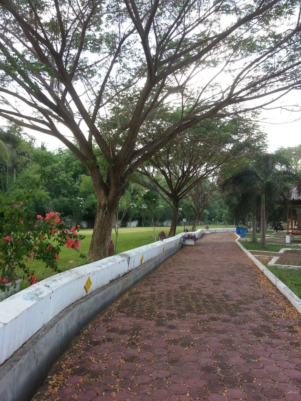 Jalan Setapak Menuju Area Perkuburan