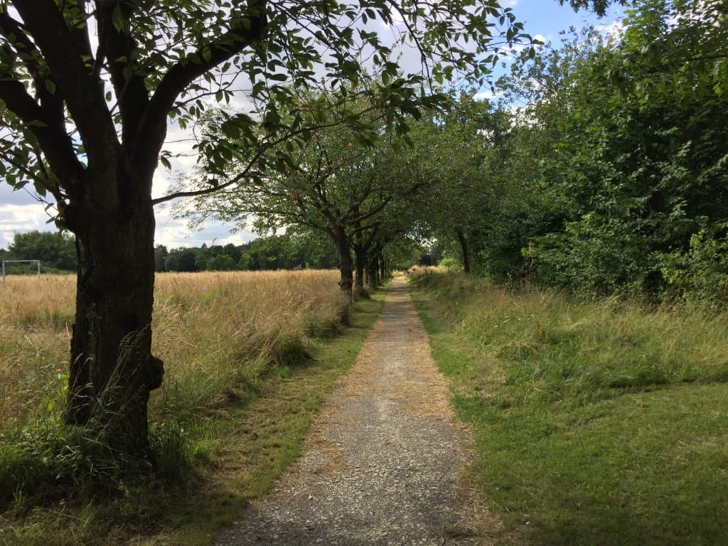 A calm and beautiful park with out of town feel to it