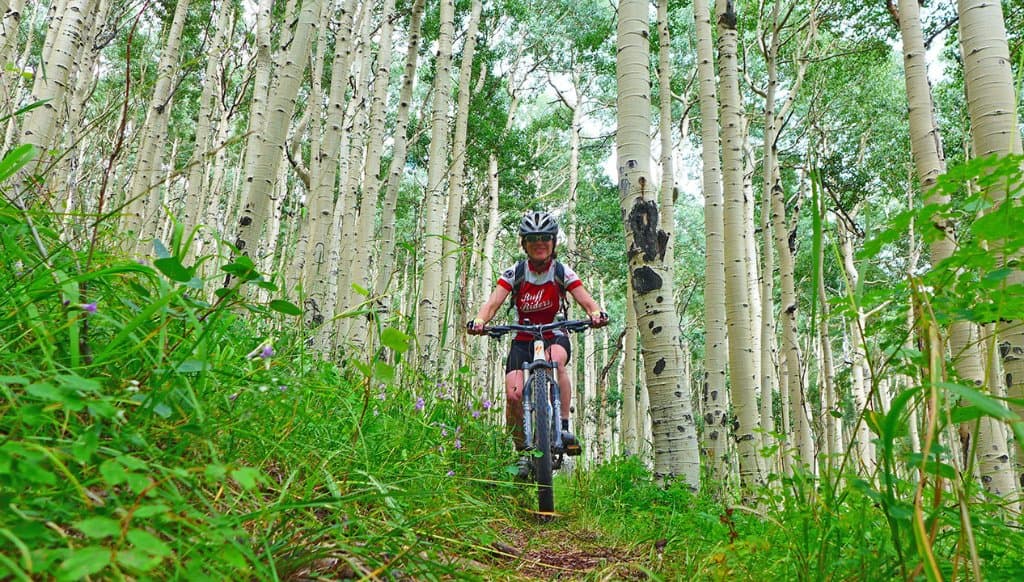 getlstd_property_photo