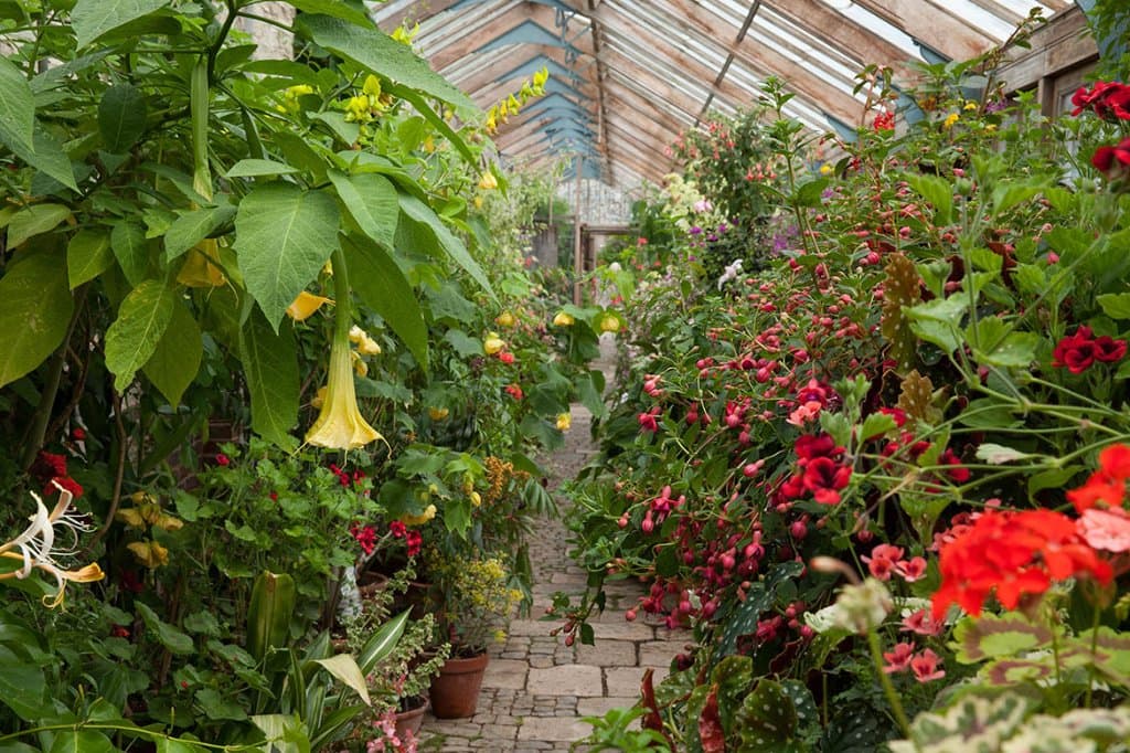 Glasshouse, Parham, July 2016