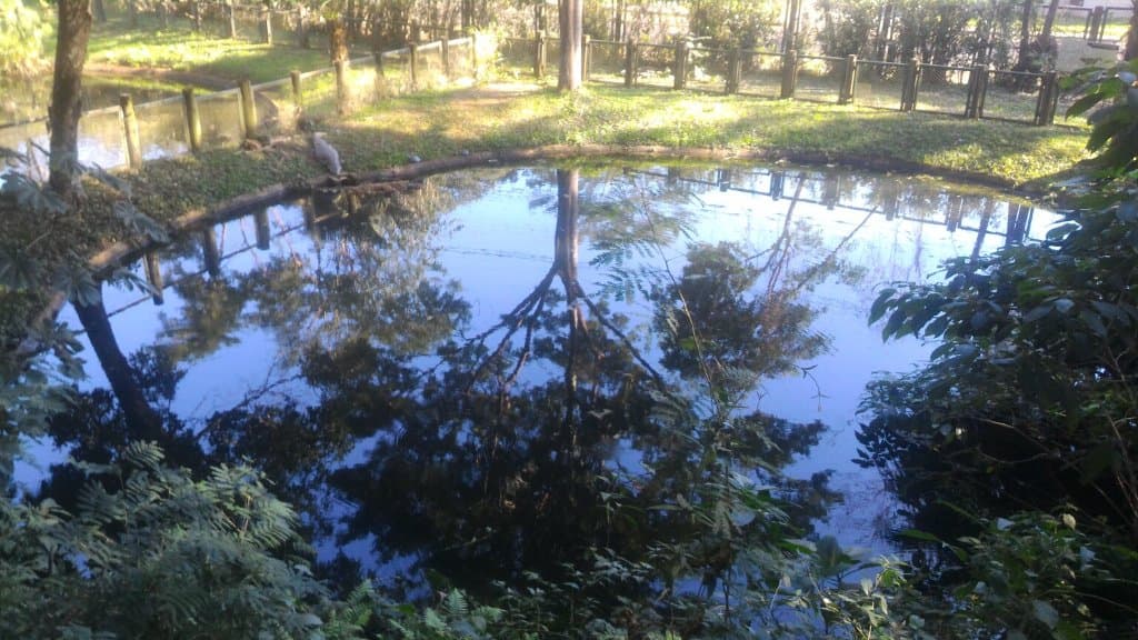 Bosque Guarani Zoo