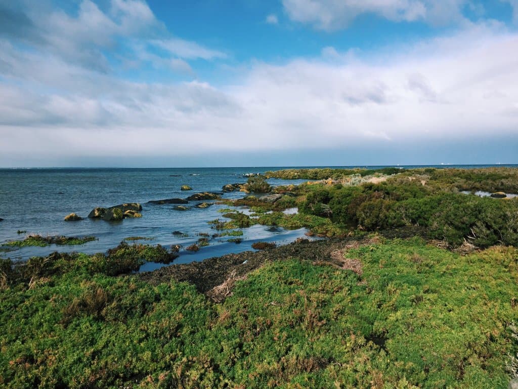 Jawbone Flora and Fauna Reserve