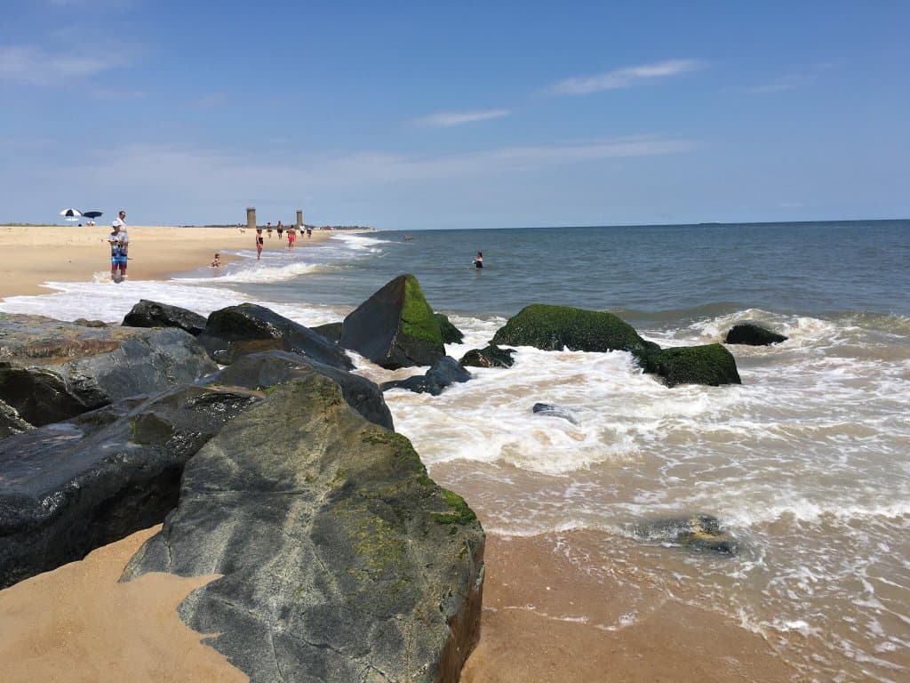 Cape Henlopen State Park