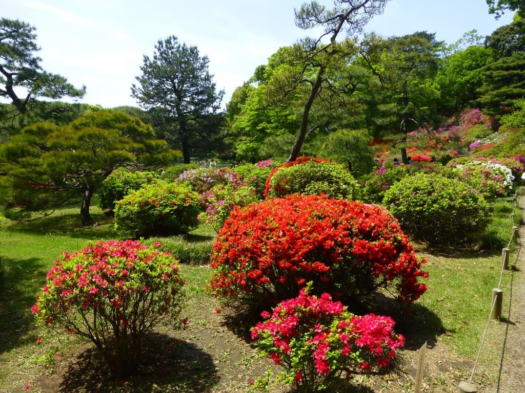 Rikugien Garden Tokyo