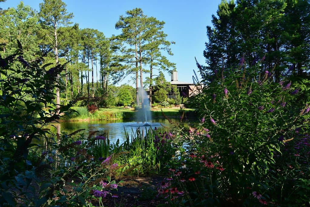 Beautiful view of the Cypress Pond