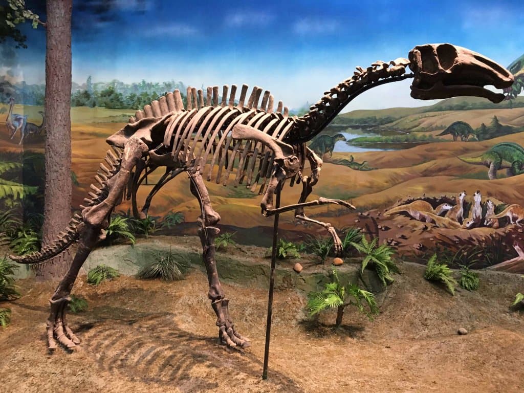 Inner Mongolia Museum in Hohhot 18