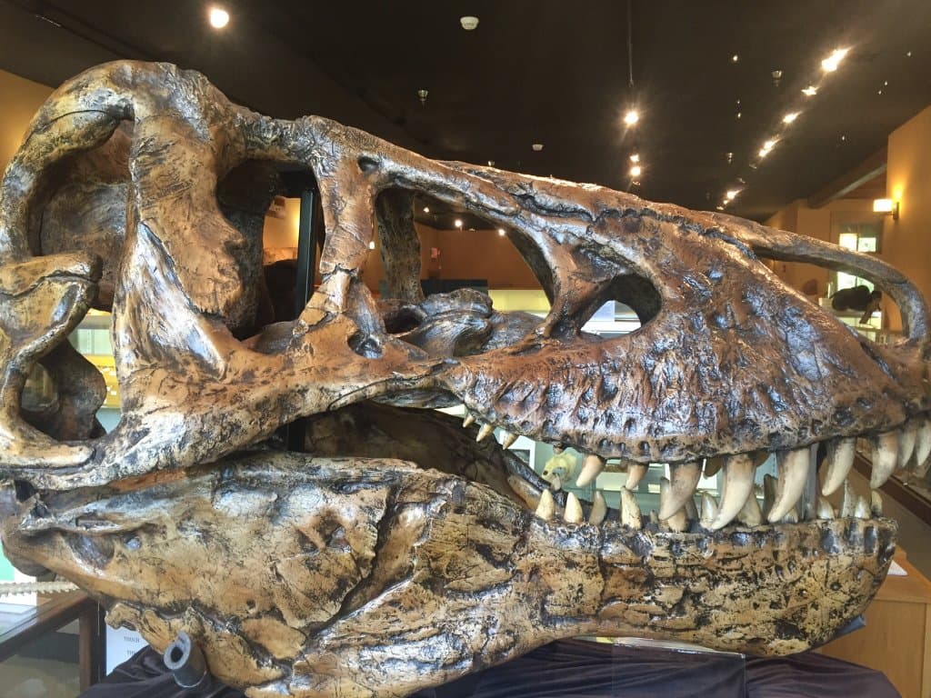 Bob Campbell Geology Museum