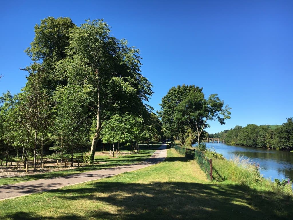 Sunny day