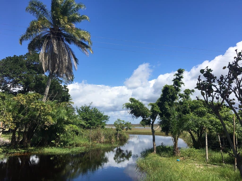 Praia incrível. Vale muito a pena pela beleza natural pelo sossego.
Sugestão : Quisque do Pipoc