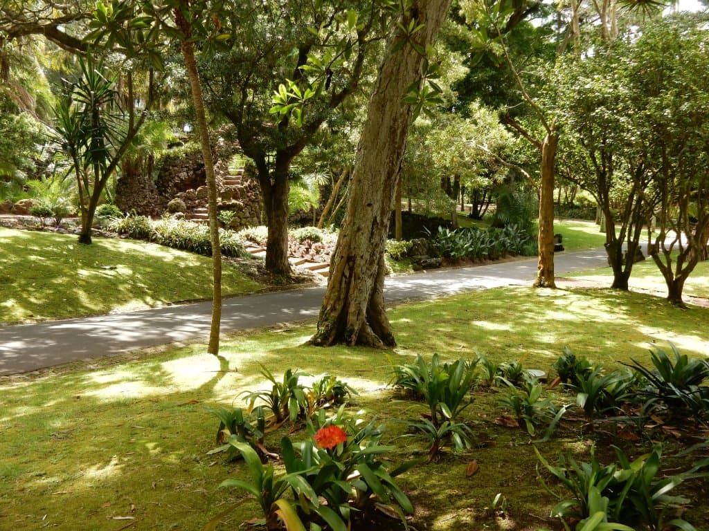 Jardim António Borges