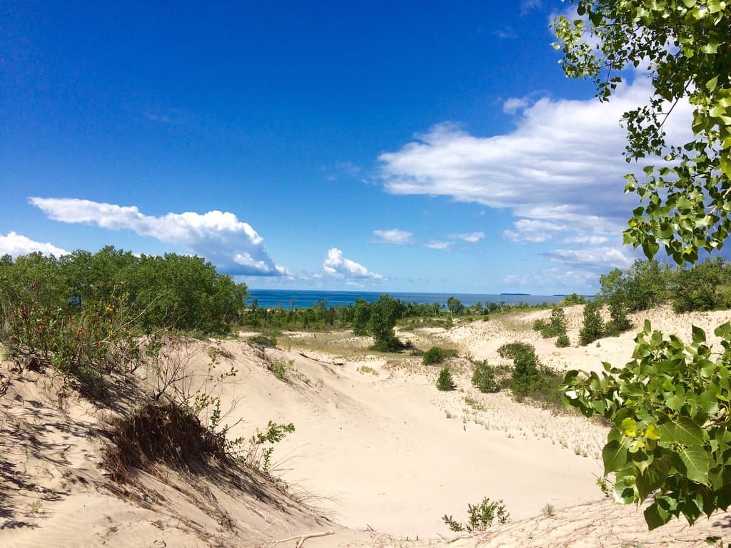 Dunes Beach Sandbanks
