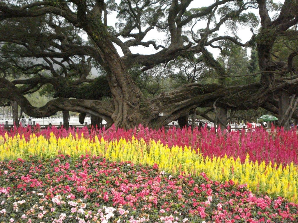 Fuzhou National Forest Park