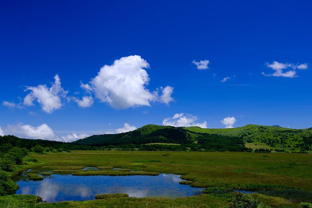 八島ヶ池の全景