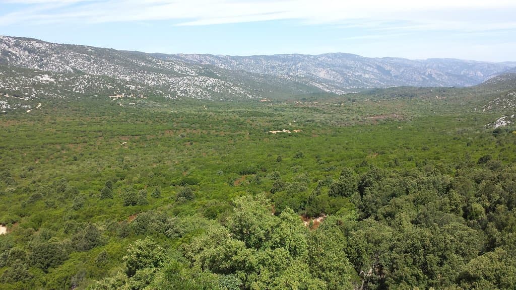 Altopiano del Golgo dalla cima della torre principale