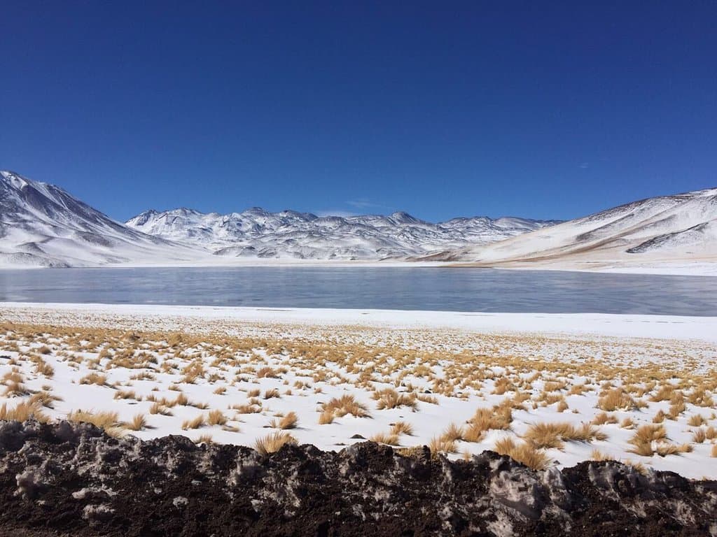 Laguna Chaxa Salar de Atacama