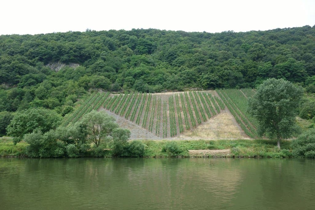 Mosel bei Trier