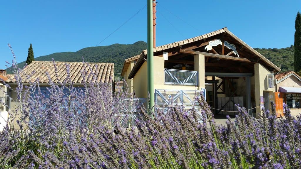 Distillerie Bleu Provence