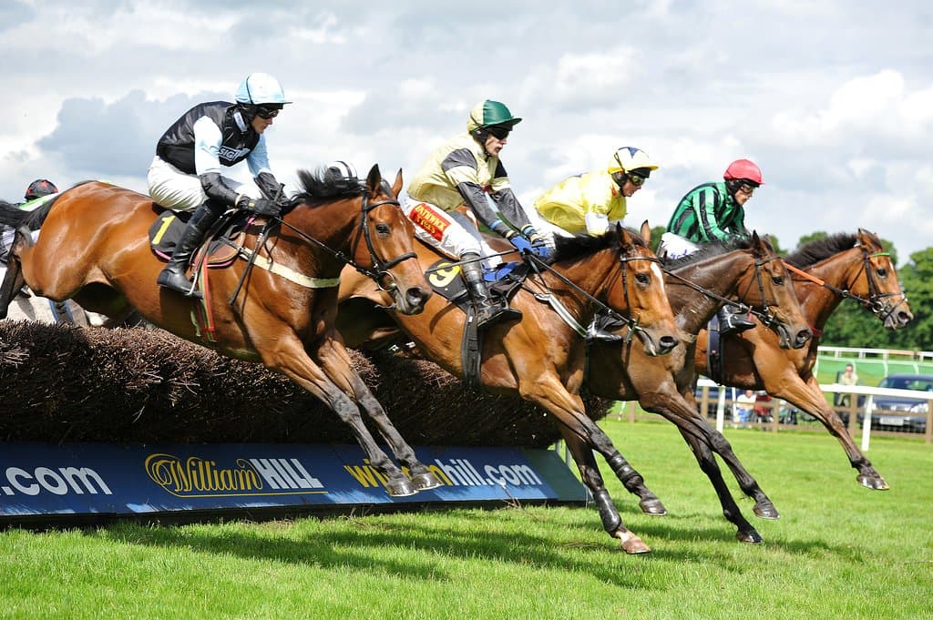 Summer jumping at Worcester Racecourse