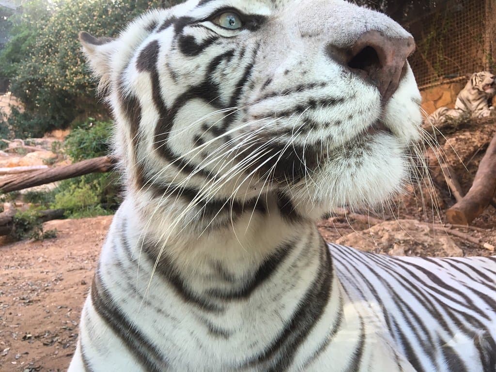 Haifa Educational Zoo