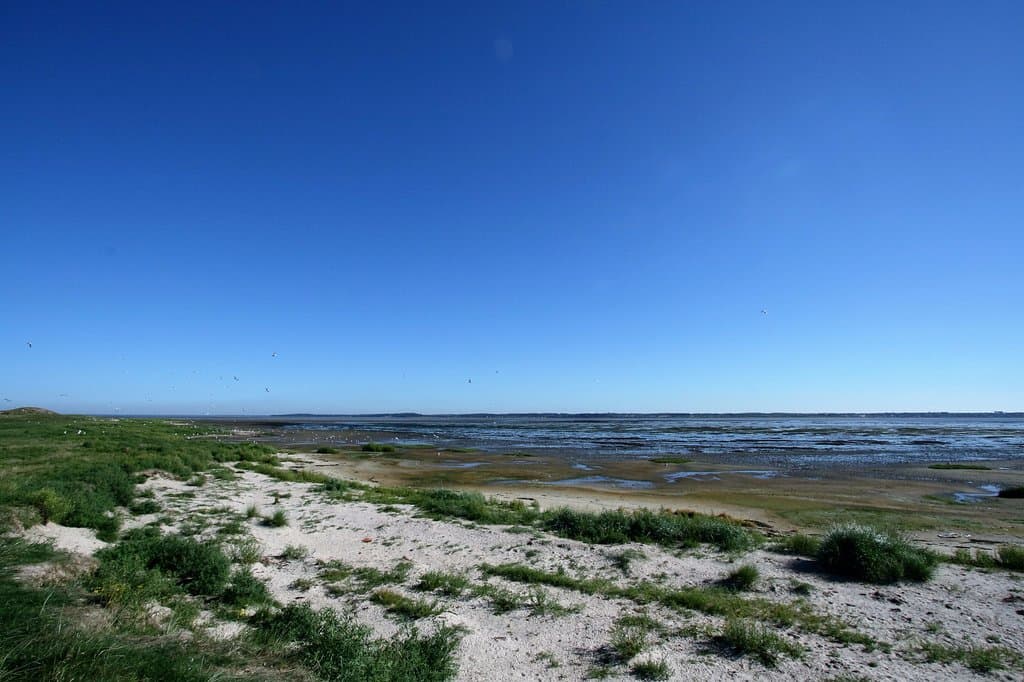 Langli i forgrunden med udsigt over Ho Bugt.