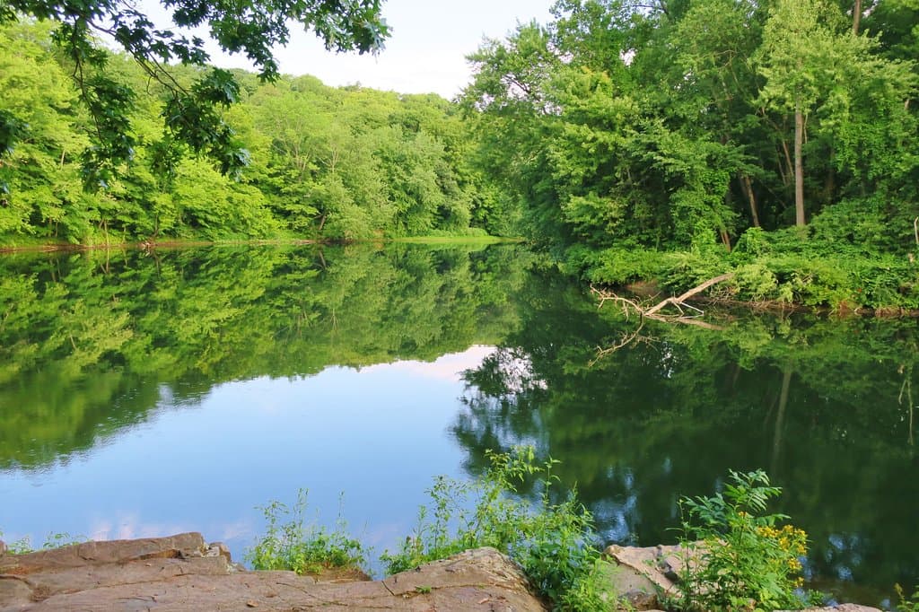 Robinson State Park