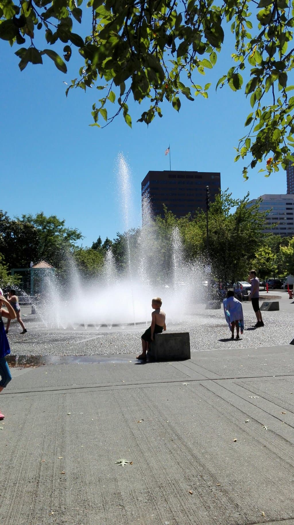 Salmon Street Springs