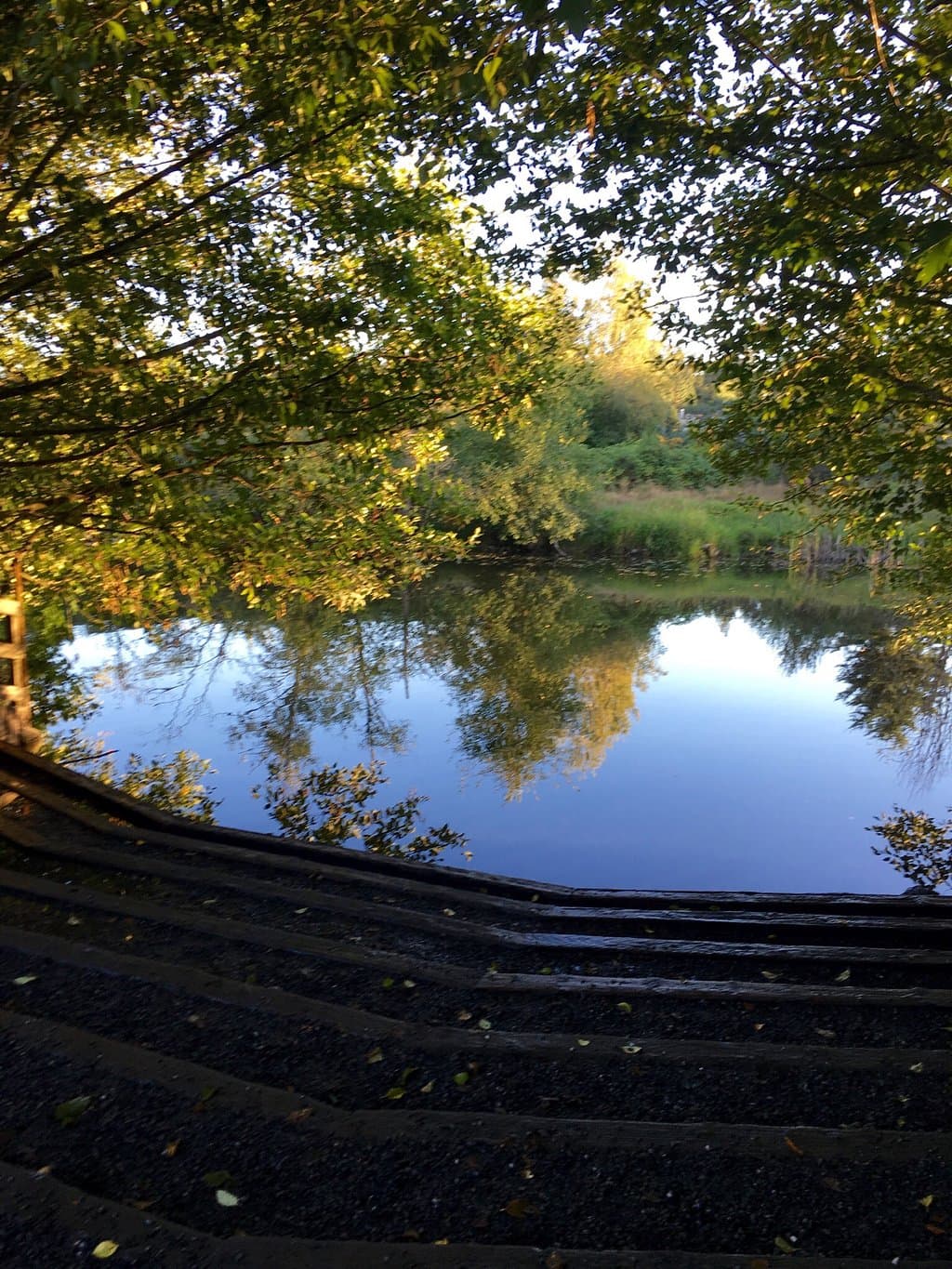 Marymoor Park Redmond