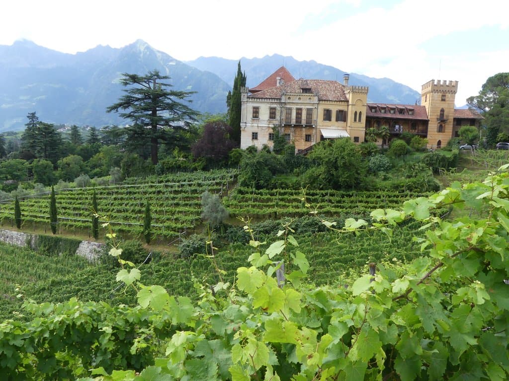 Schloss Rametz vom Weinberg aus