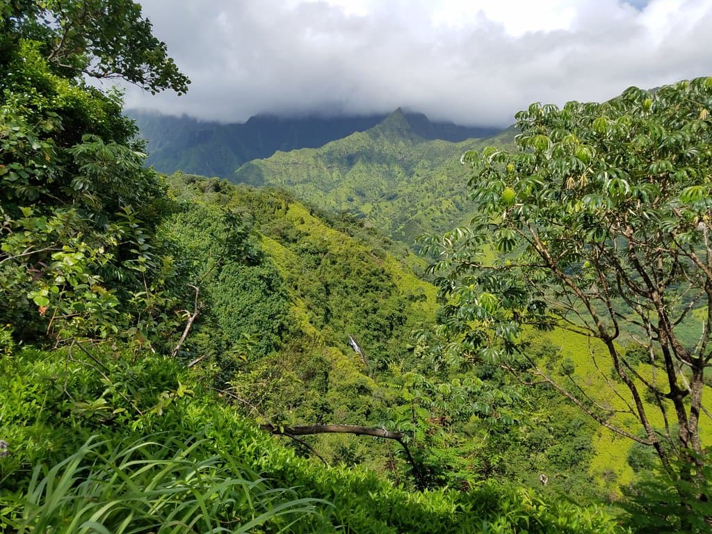 Beautiful views - so much green!