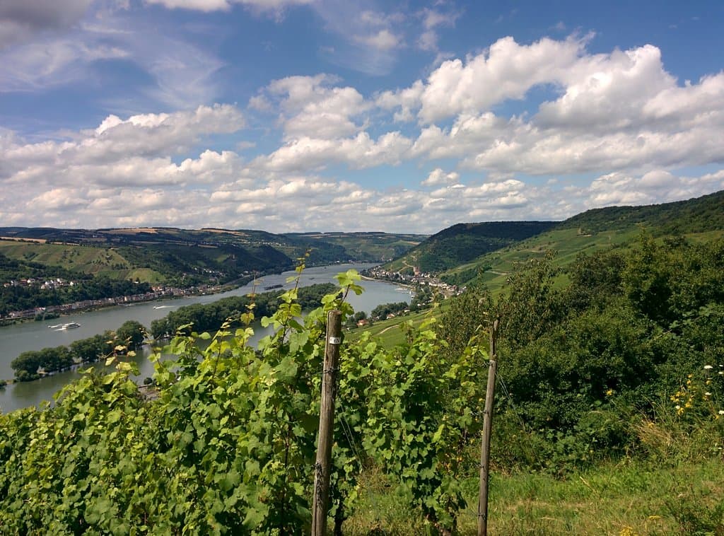 Rheinsteig Wiesbaden Stages