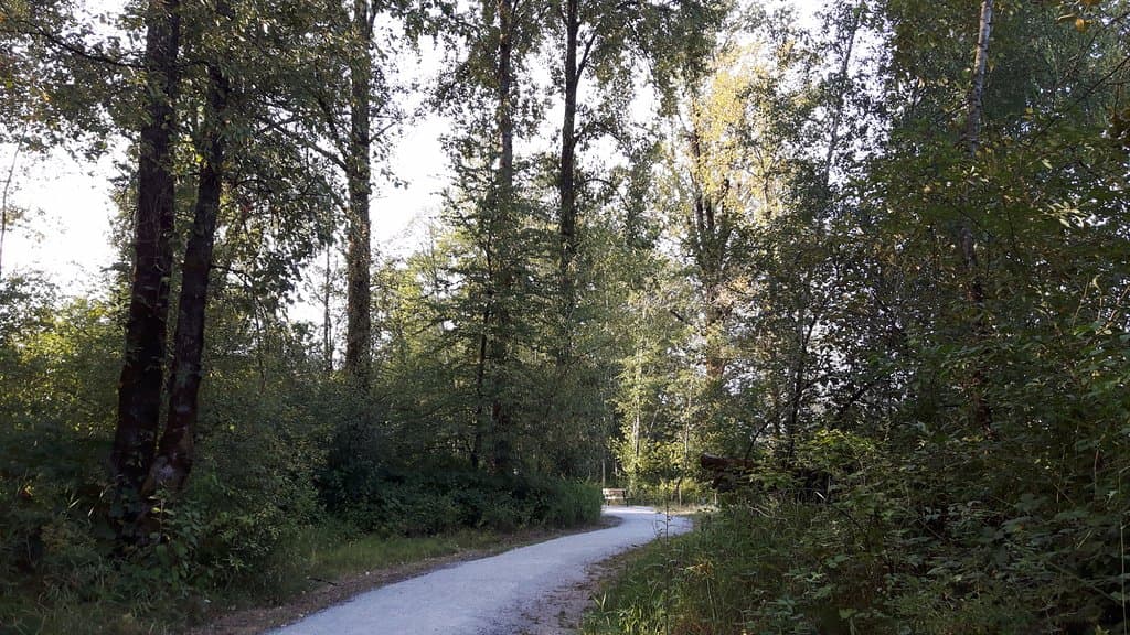 Surrey Bend Regional Park