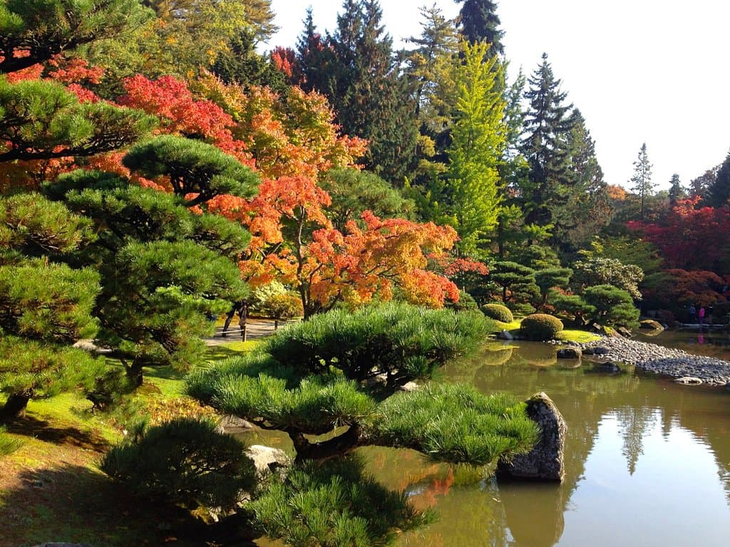 Autumn at the Japanese garden
