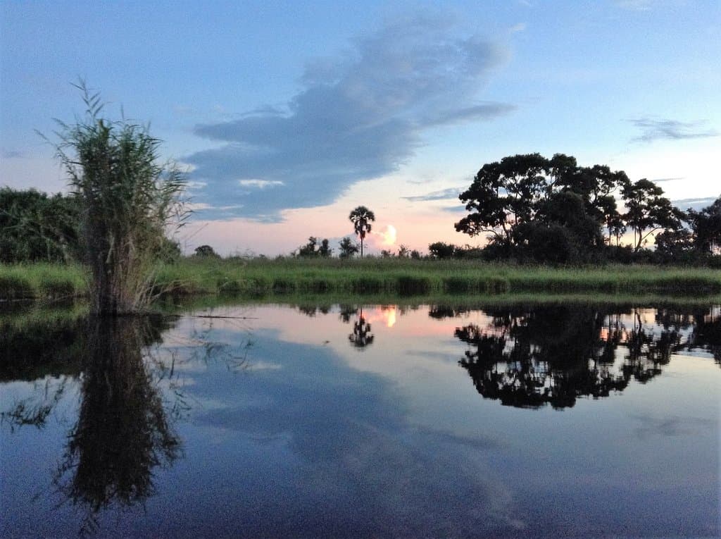 Okavango: mokoro trip