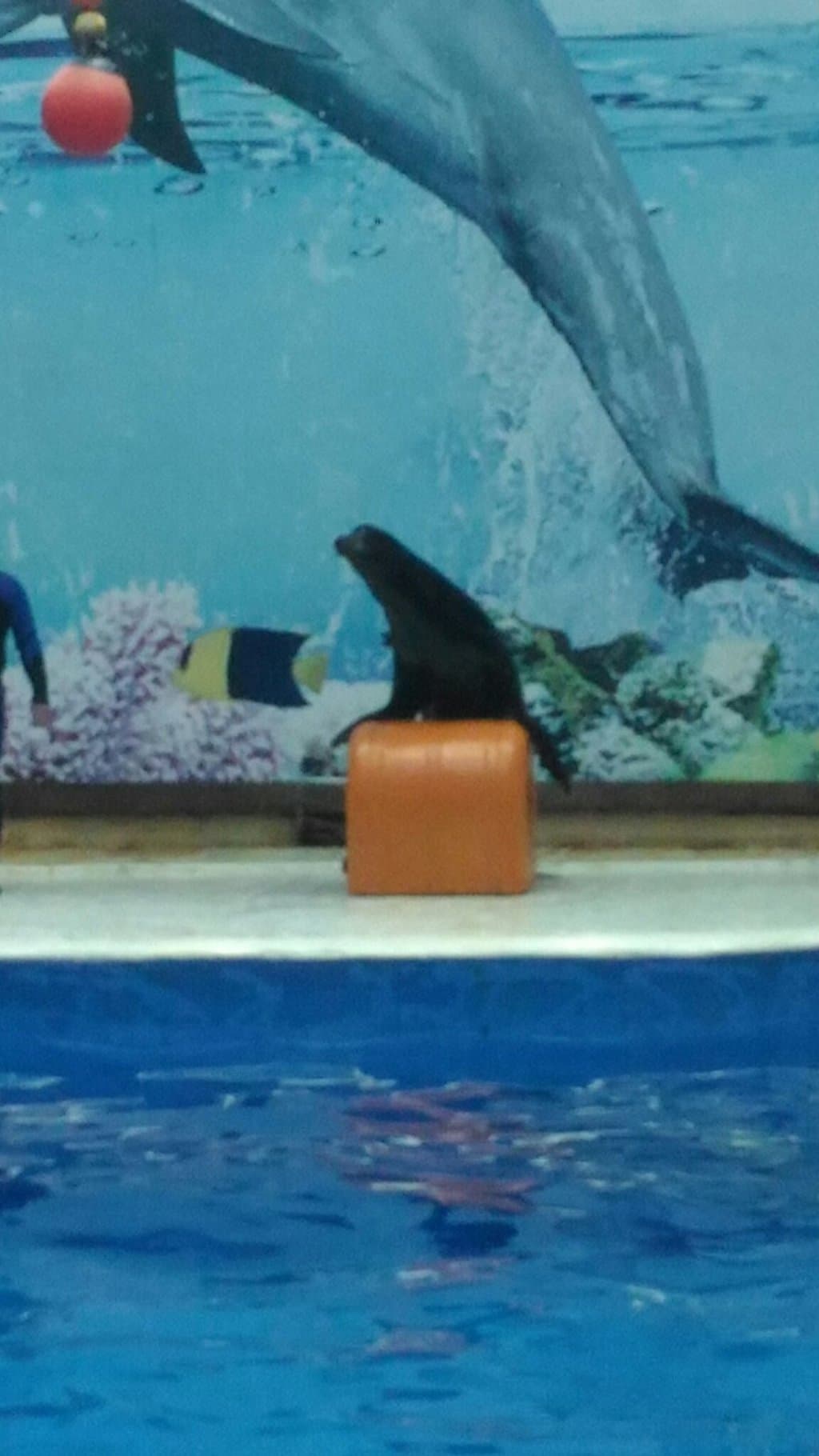 Nanjing Underwater World