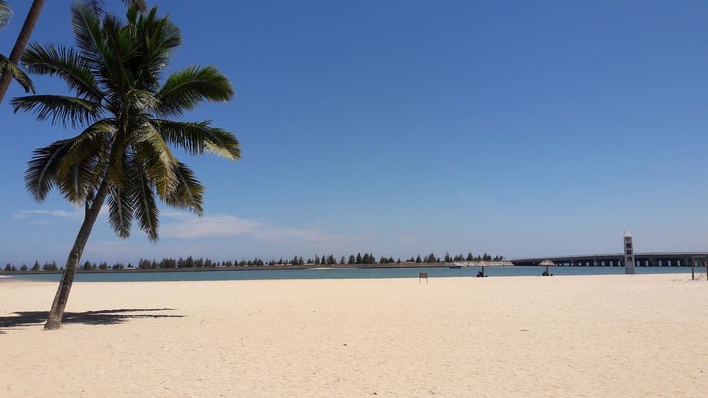 Dongjiao Yelin (东郊椰林)