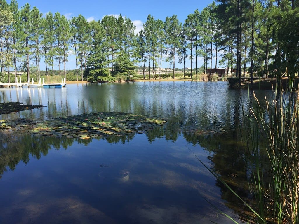 Das Peach Haus & Fischer & Wieser Farmstead