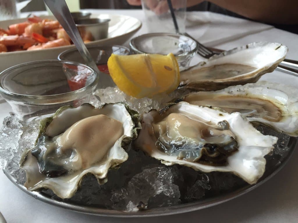 Oysters from the raw bar