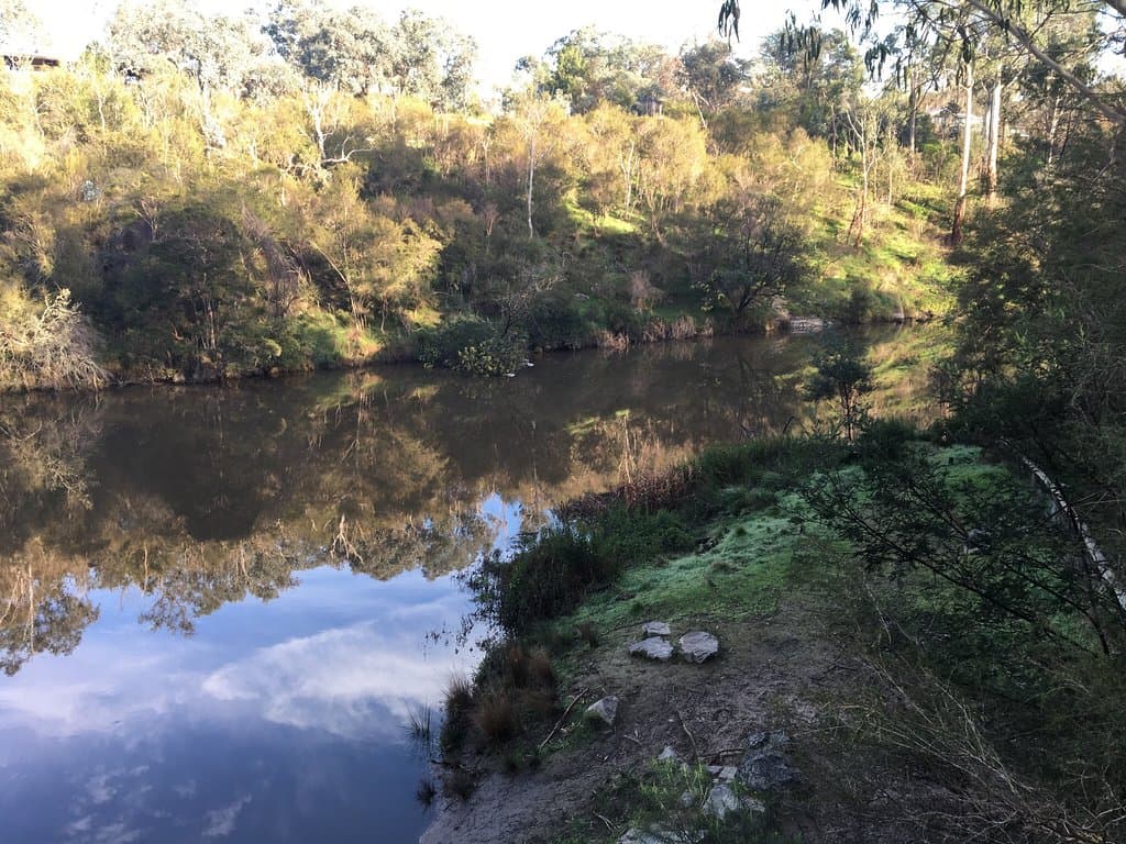 Jumping creek reserve