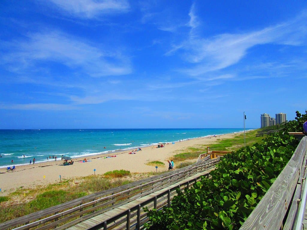 Looking south from the boardwalk.