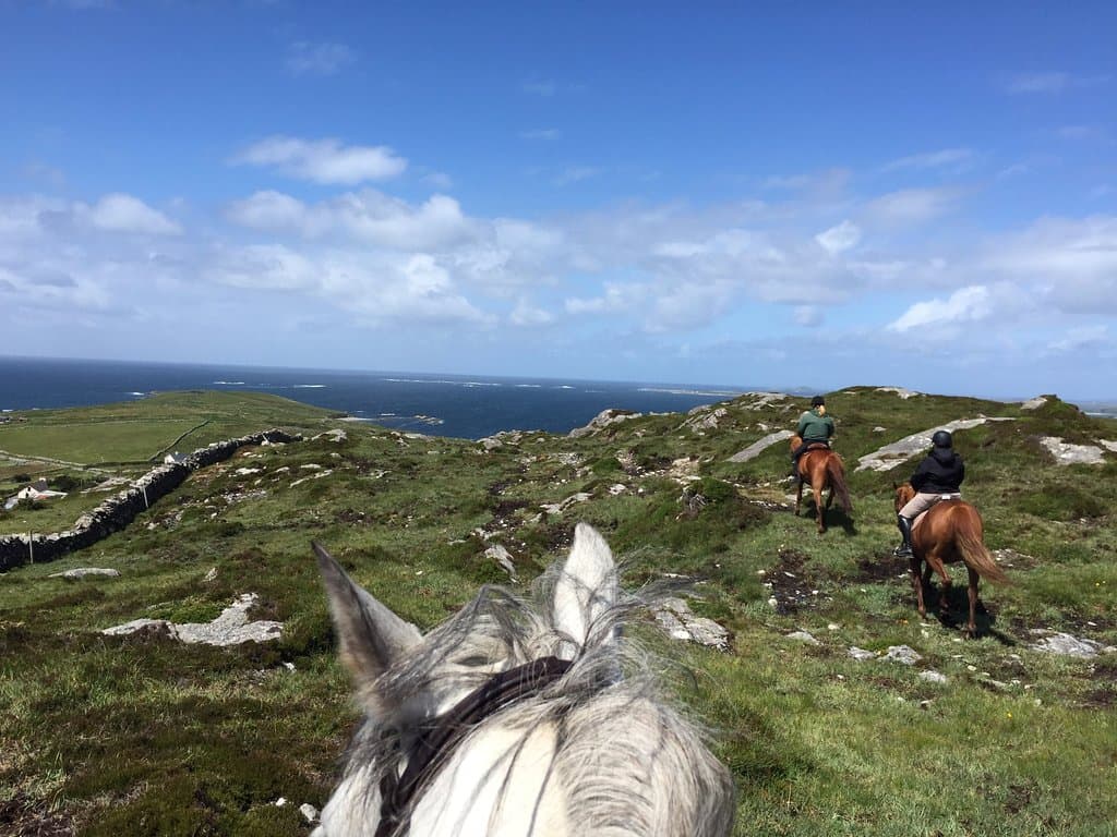 Beautiful day on the moors