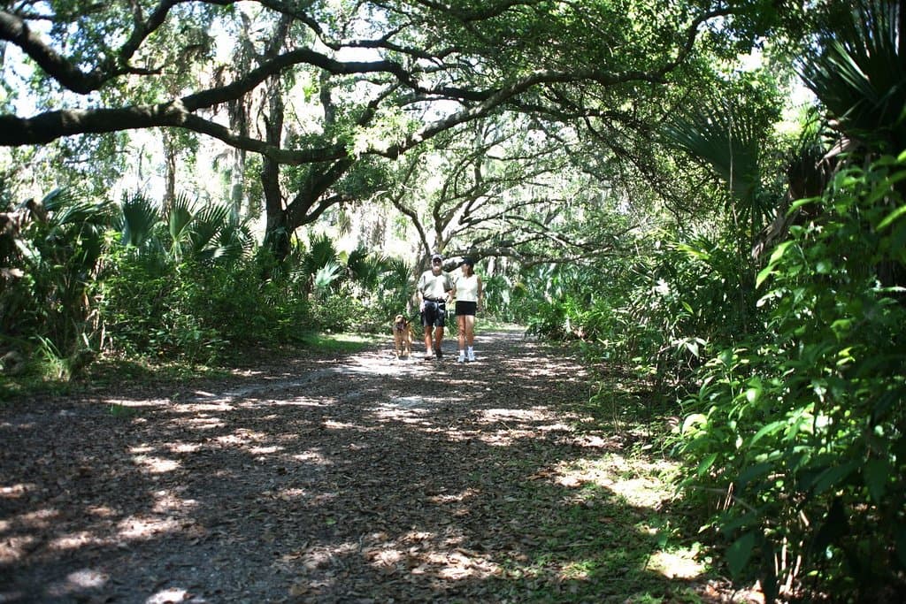 Oak Hammock Park Trails, Boat Ramp, Picnic Areas, Kids Play Area Too