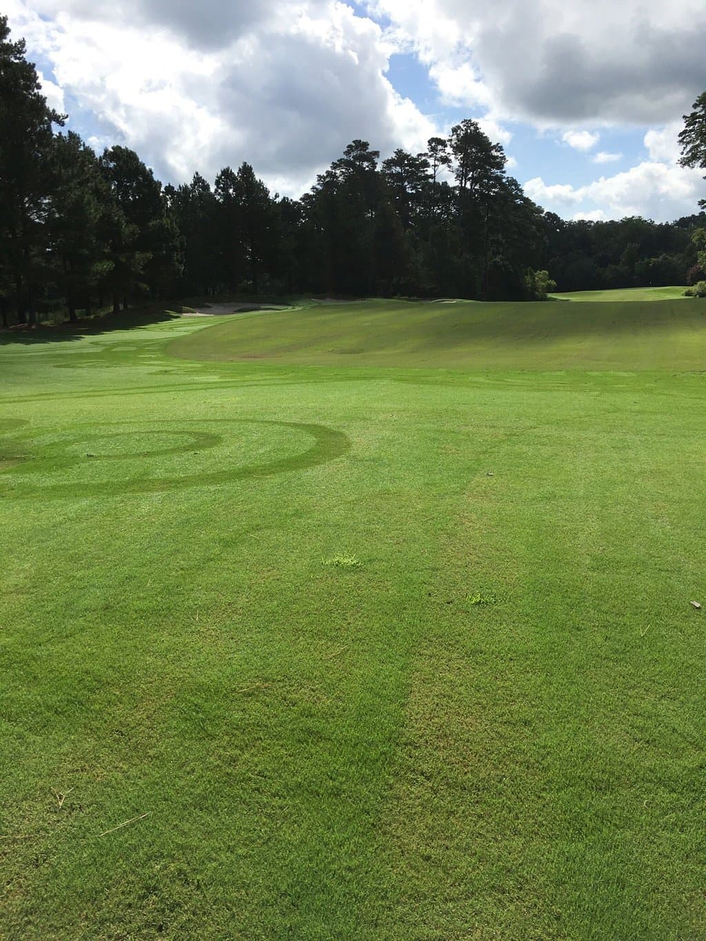 Pictures from my recent visit