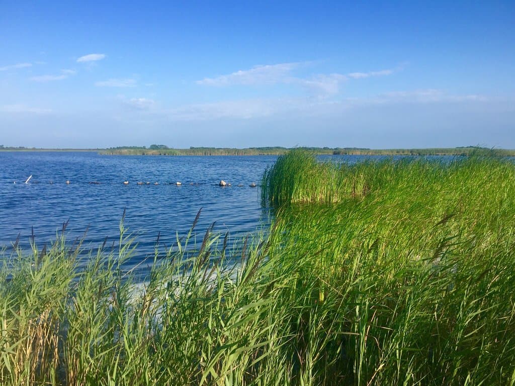 From dunes to bay at the BBNWR in the Wash.