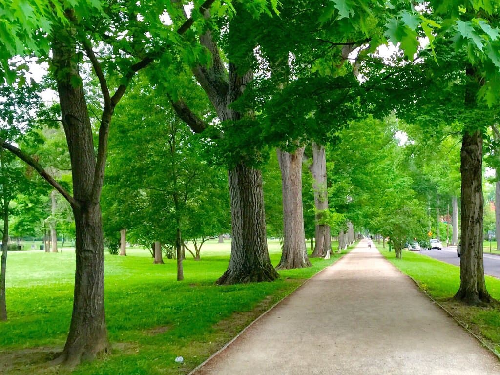 Ritter Park