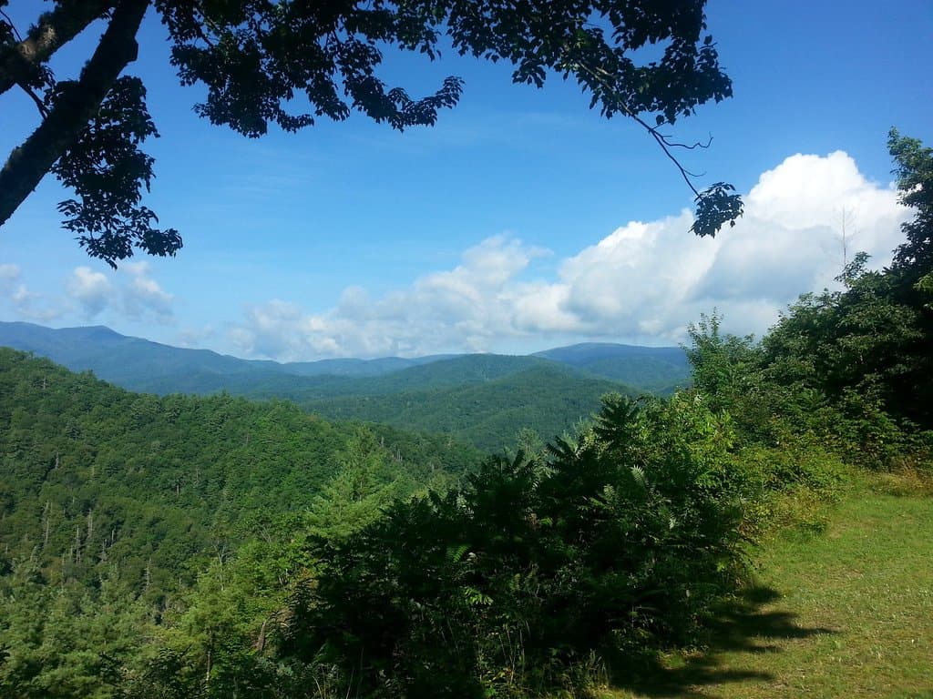 Overlook