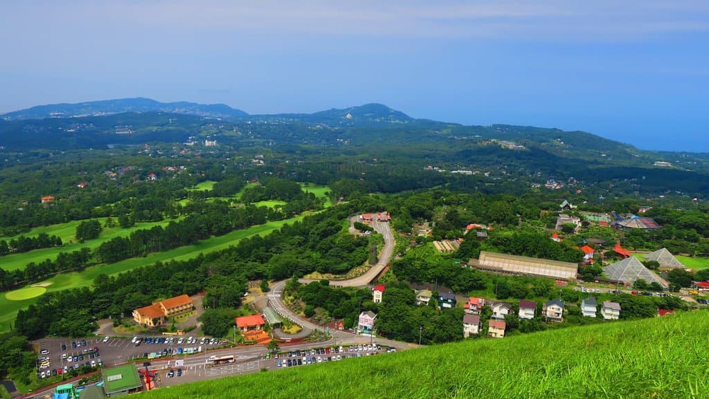 A view from the top.