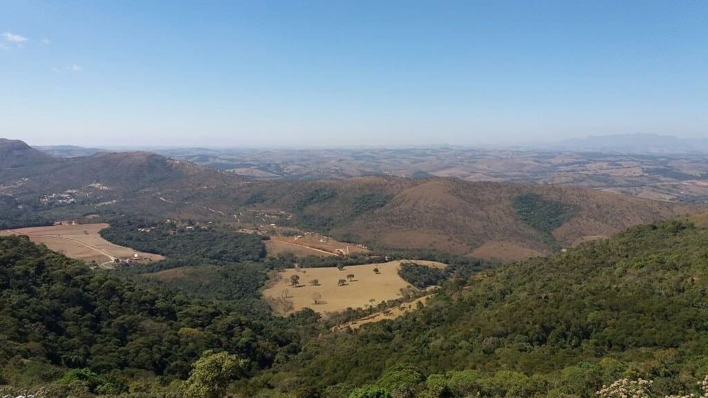 Lindo
