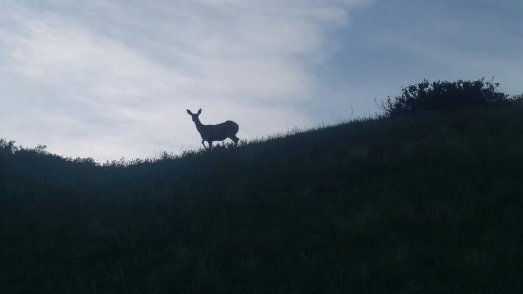 Alexander Wilderness Park